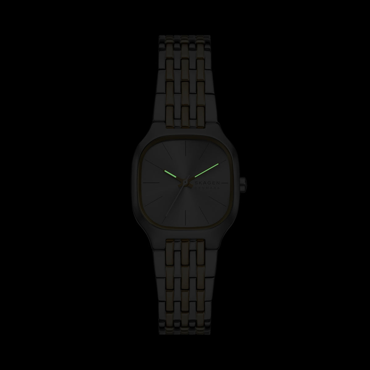 Дамски часовник SKAGEN - SKW3160