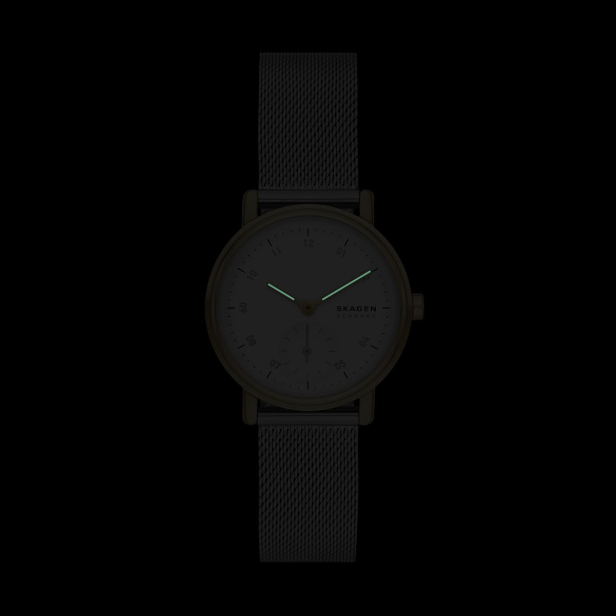 Дамски часовник SKAGEN - SKW3101