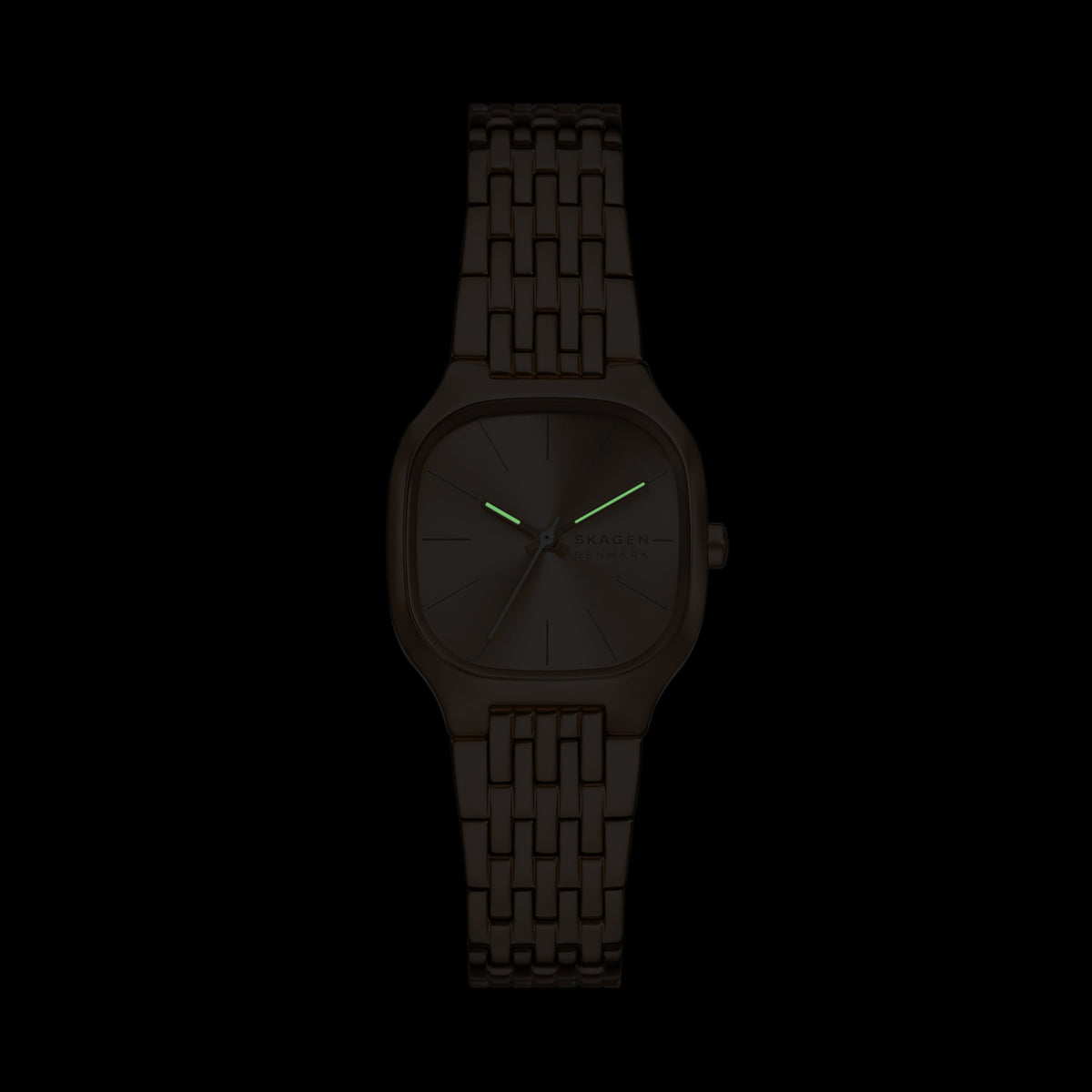 Дамски часовник SKAGEN - SKW3166