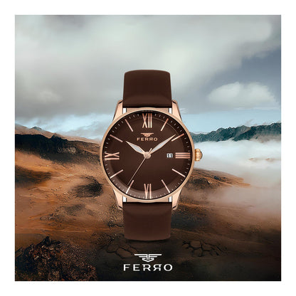 Мъжки часовник Ferro - F11182B-S